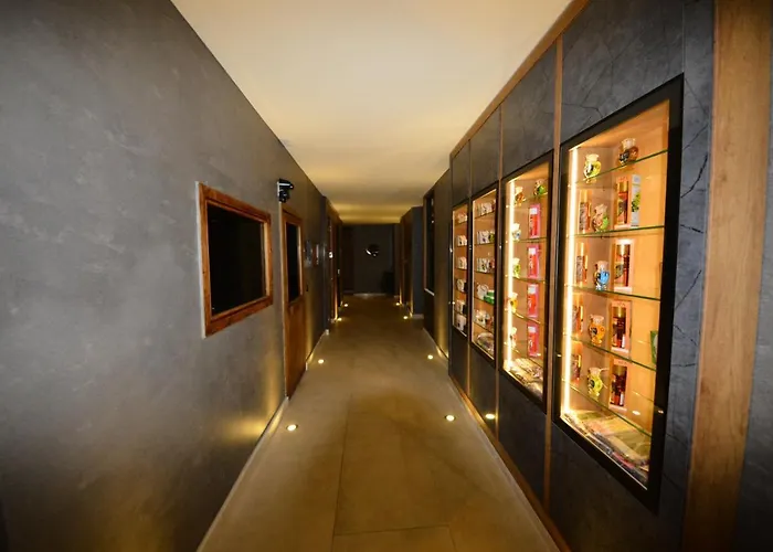 Idas (adults Only) 4* トゥルンチュ